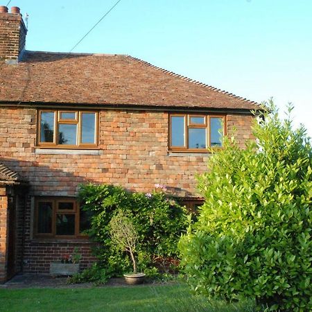 Hollyhock Cottage แอชฟอร์ด ภายนอก รูปภาพ