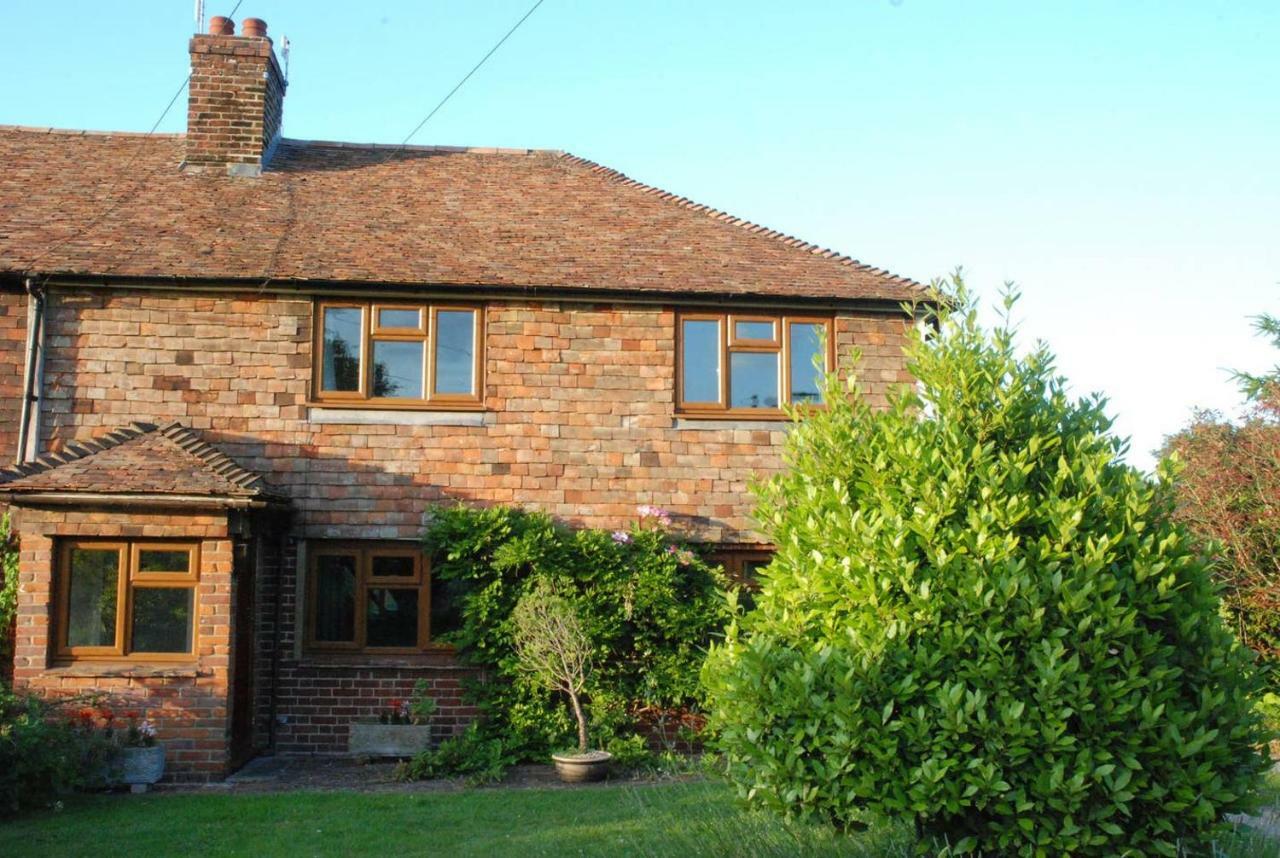 Hollyhock Cottage แอชฟอร์ด ภายนอก รูปภาพ
