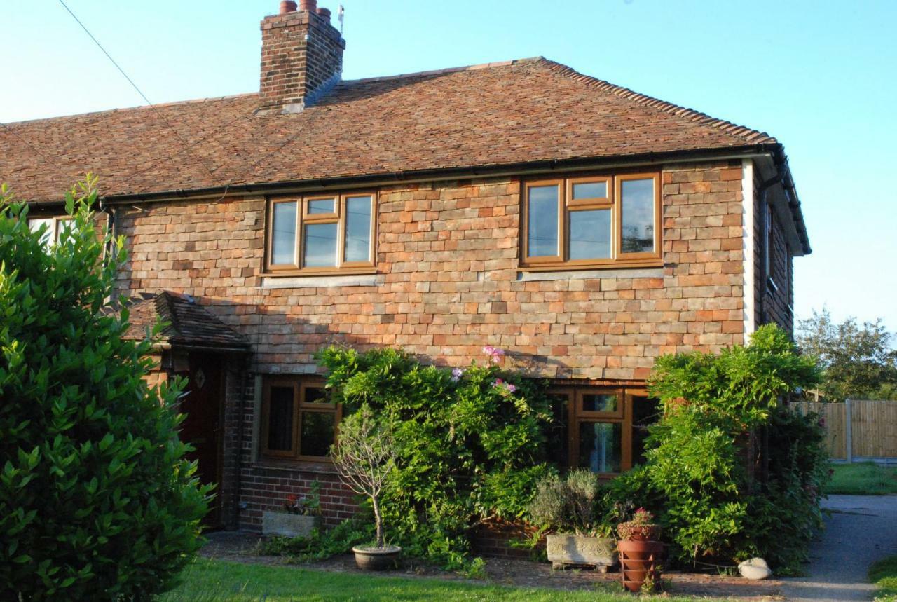 Hollyhock Cottage แอชฟอร์ด ภายนอก รูปภาพ